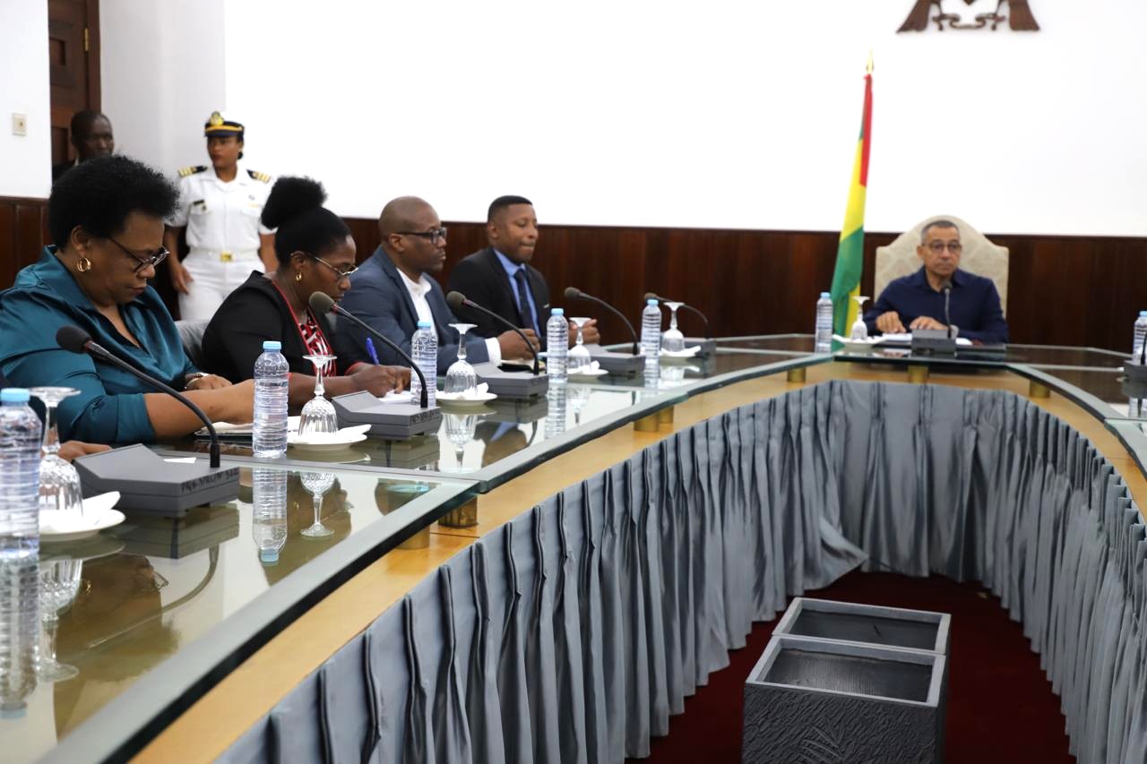 Presidente da República preside conferência sobre o paludismo