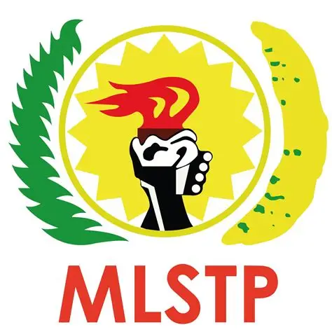 MLSTP sem garantias de candidato para as eleições presidenciais de julho